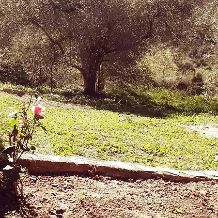 Hidden House In Nature Zounaki